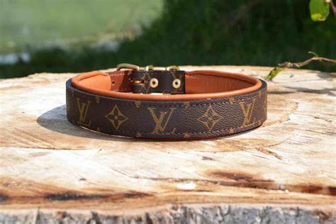 louis vuitton peyt|louis vuitton collar for dog.